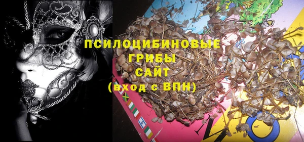 МДПВ Елабуга