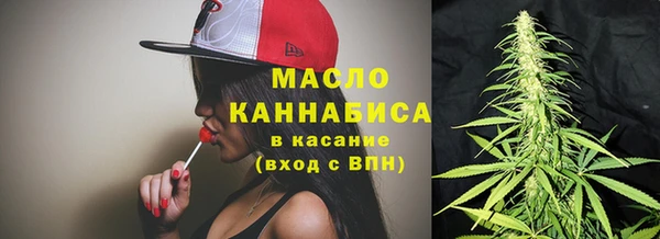 МДПВ Елабуга