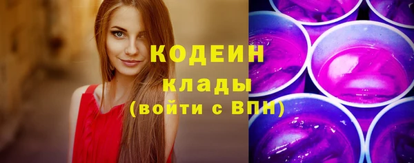 МДПВ Елабуга