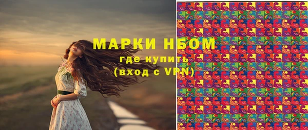 герыч Ельня