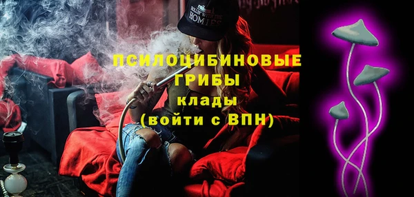 бошки Елизово