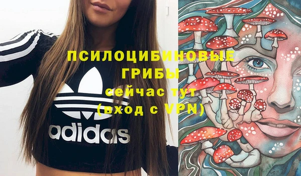 бошки Елизово
